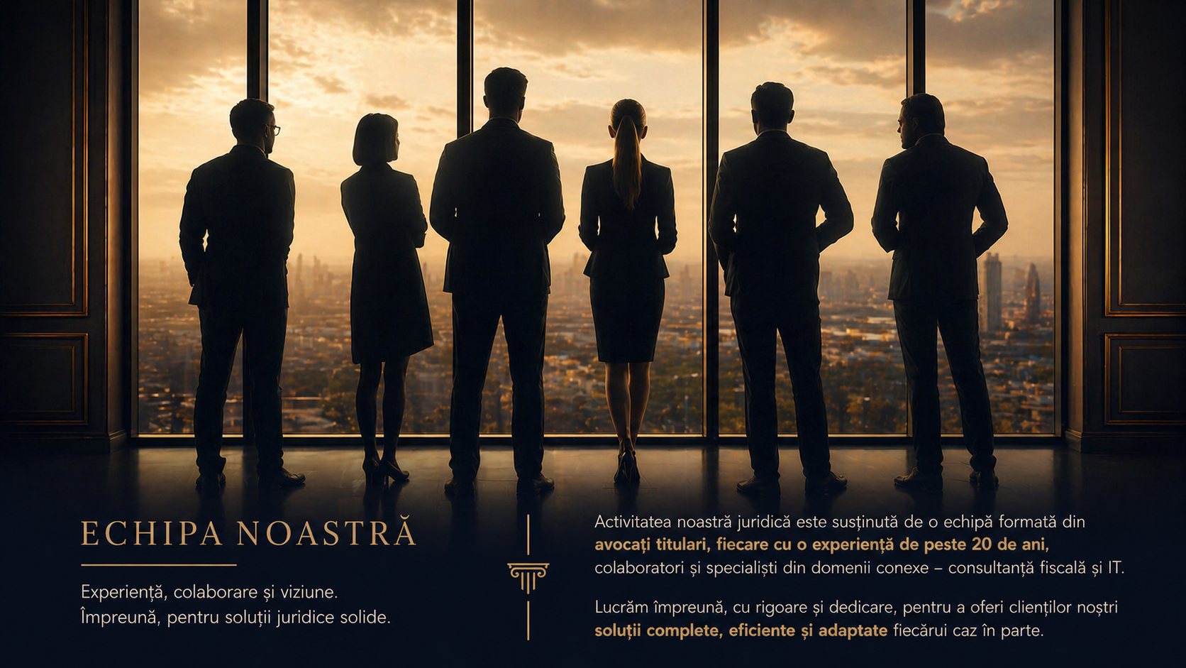 Echipa Nicoara & Asociatii